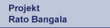 Projekt Rato Bangala School